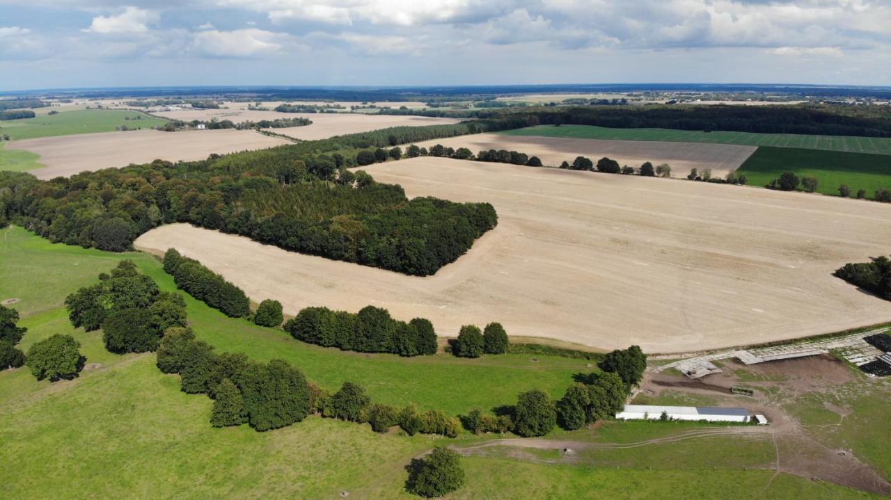 Peenehof Koeppen - Ferienwohnungen & Schlaffaesser Jordenstorf Luaran gambar